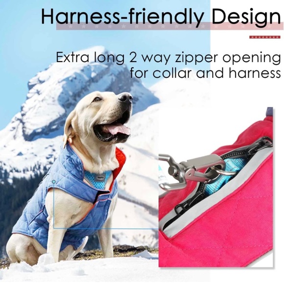 Dog 🐕 Coats - Picture 2 of 7